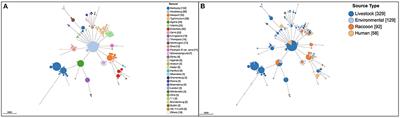 Rural Raccoons (Procyon lotor) Not Likely to Be a Major Driver of Antimicrobial Resistant Human Salmonella Cases in Southern Ontario, Canada: A One Health Epidemiological Assessment Using Whole-Genome Sequence Data